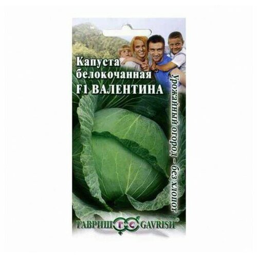 ������ ������ ������� ������������ ��������� F1 0,1 � ��� �������� ������ ��� ������ ������ (1 ��.) ����