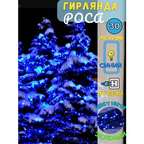 ������ ������ �������� ���� ����