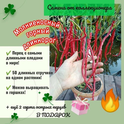 ������ ������ ������ ����� 