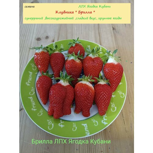 ������ ������ �������� 