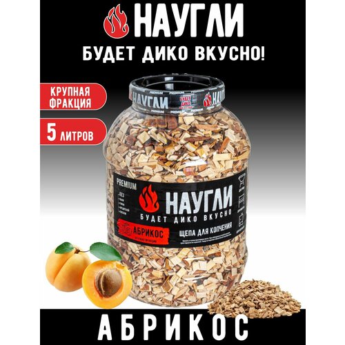 ������ ������ ���� ��� �������� ������ �������, 5�. ��. 8-12�� ����