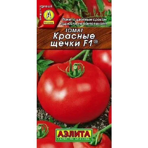 ������ ������ ����� ������� �����, ������ ������ 20�� ����