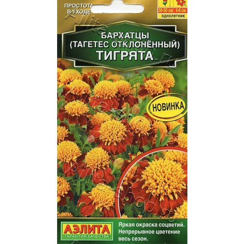 ������ ������ ������ ��������� ������ 