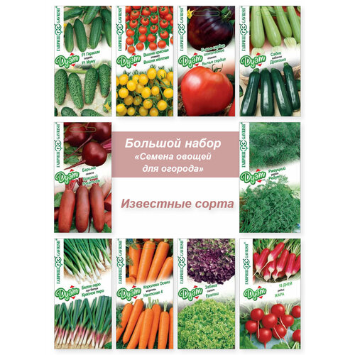 ������ ������ ������ ������, �������, ������ � �. �. ����