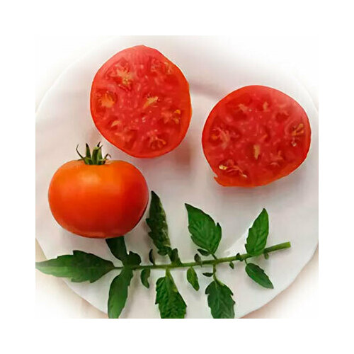 ������ ������ ������������� ������ ������ ����������� ������ ����