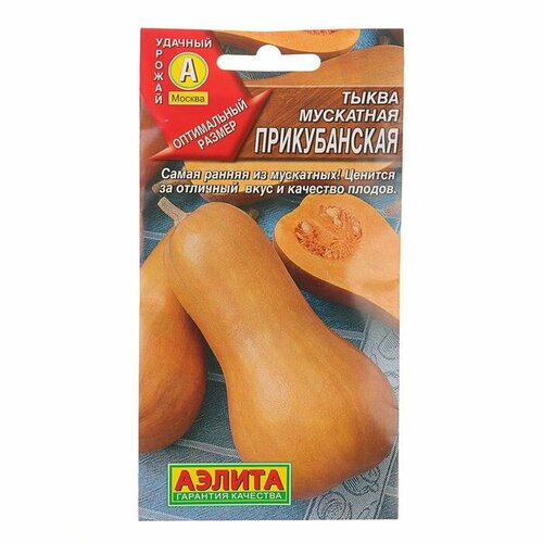 ������ ������ ������ ����� ��������� 