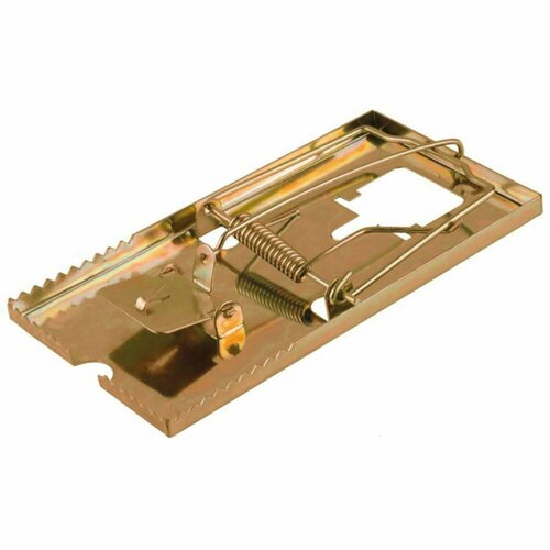 ������ ������ ���������� ������������� 88 � 162 ��, Mr. Mouse ����