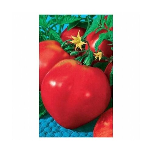 ������ ������ ������ ����� ����� ������ ������������ 20 �� ����� (��������� ������) ����