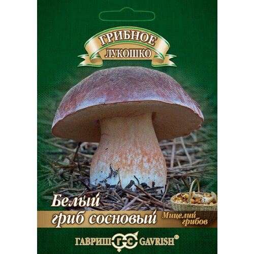 ������ ������ ������� ����� ���� �������� �� �������� ���������, 15��, ������ ����