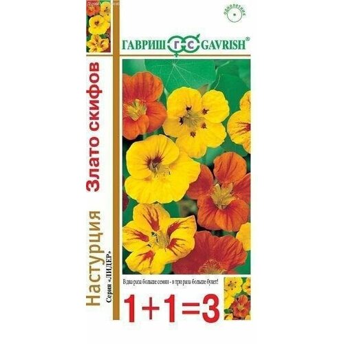 ������ ������ ��������� 