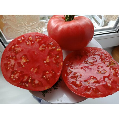 ������ ������ ������������� ������ ������ ����������� ��������� ������ ����