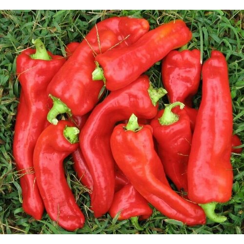 ������ ������ ������������� ������ ����� �������� ������ ��������� ����