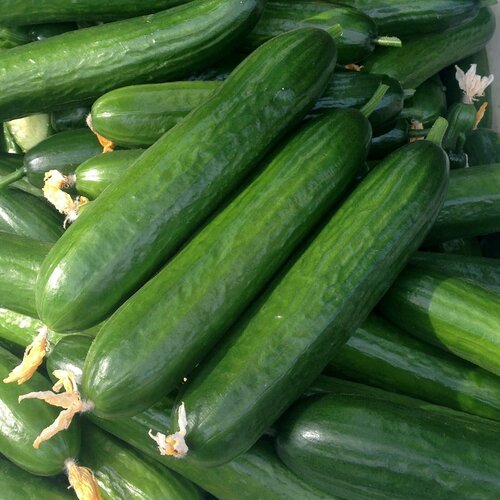 ������ ������ ������������� ������ ������ ����� F1 ����