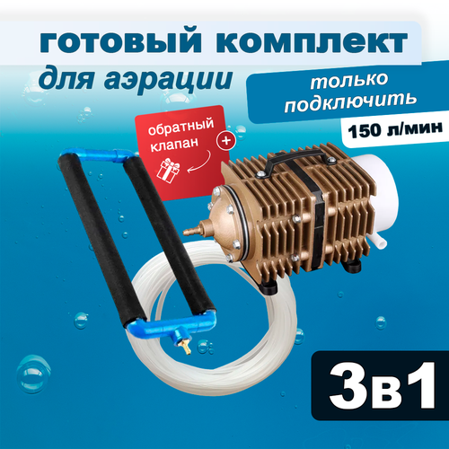 ������ ������ �������� ������� ��� ����� � �����, ���������� + ������� + �����, 150 �/��� ����