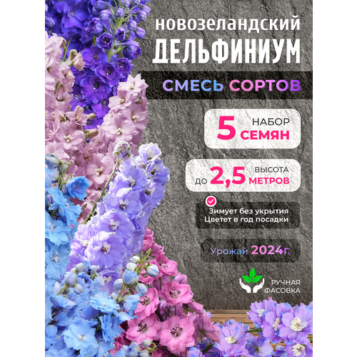 ������ ������ ������ ��������������� ����������� 5 �� ����� ������ ����