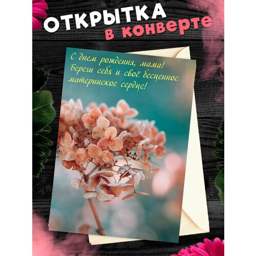 ������ ������ �������� �6 � �������� � ���� ��������, ����! ����