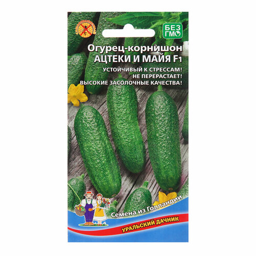 ������ ������ ������ ������ 