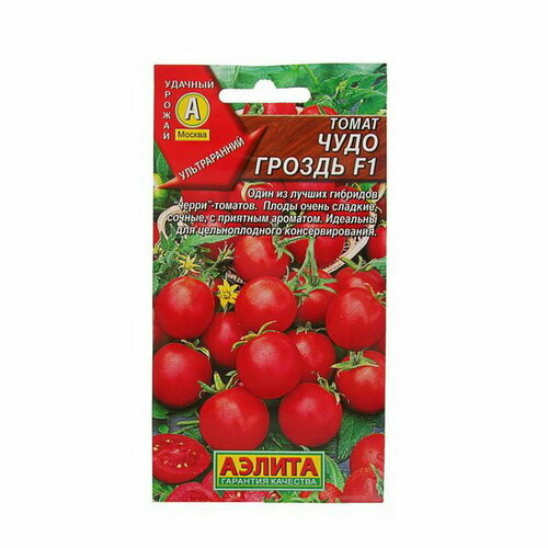 ������ ������ ������ ����� 