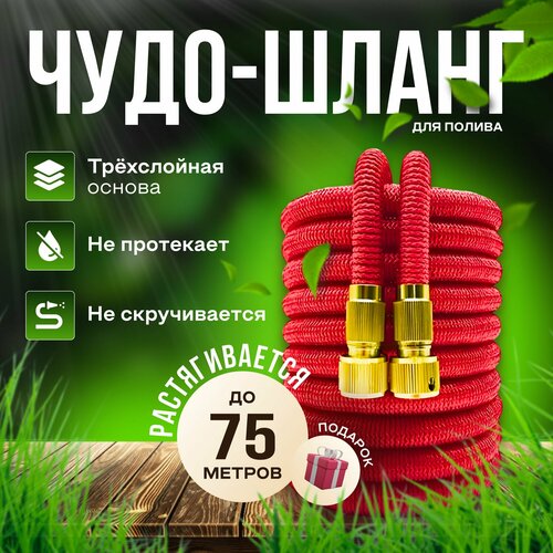 ������ ������ ����� ������� ��������������� 75 ������ ��� ������ � ������������ � ������������/ 75 ������ ������� � ������������� �����������, ���������� ����