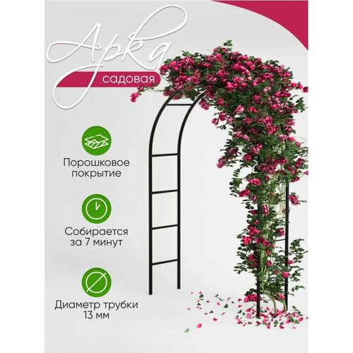 ������ ������ ���� ������� ��� �������� ��������. ����