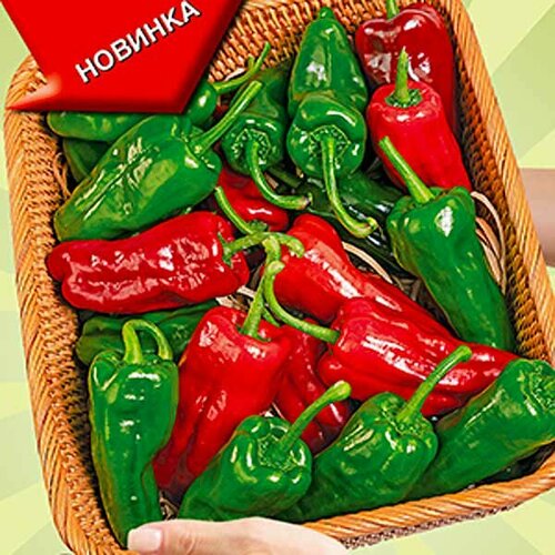 ������ ������ ������ ����� ������ ������ 5�� (������) ����