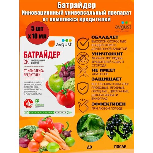 ������ ������ ������������� ������������� �������� ��������� Avgust �� ��������� ����������, 10 �� ����