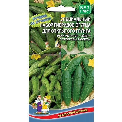 ������ ������ ������ ����������� ����� ������ �������� ��� ��������� ������, 1 �����, ������ 12 ��, ��������� ������ ����