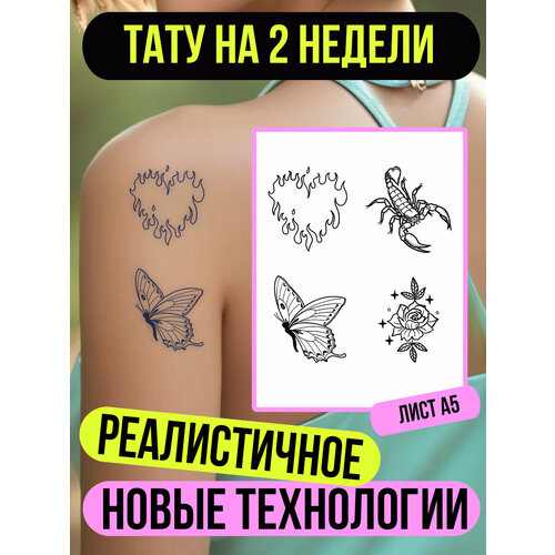 ������ ������ ���� ���������� �������������� �������� ����