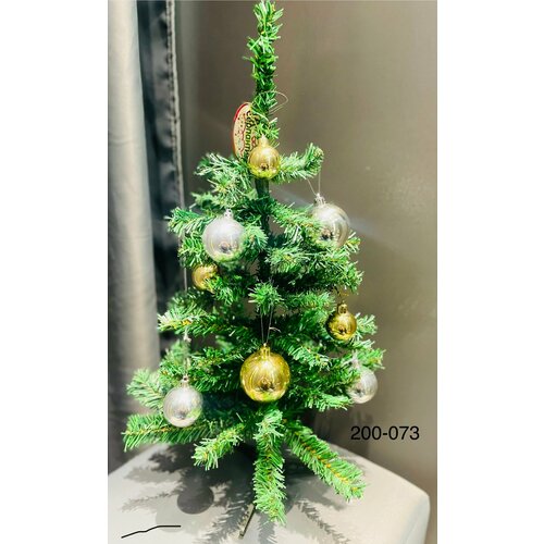 ������ ������ ���� ������������� ���������� �� ���   40��. ����