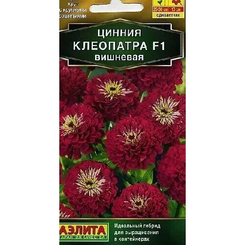 ������ ������ ������ ��������� �������� F1, ������ ������ 12�� ����