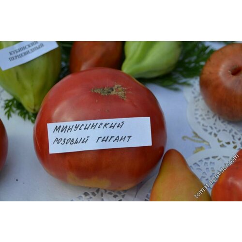 ������ ������ ������������� ������ ������ ����������� ������ ������� ����