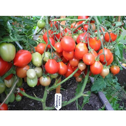 ������ ������ ������������� ������ ������ �������� ������ ����