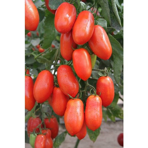 ������ ������ ������������� ������ ������ ������ ����