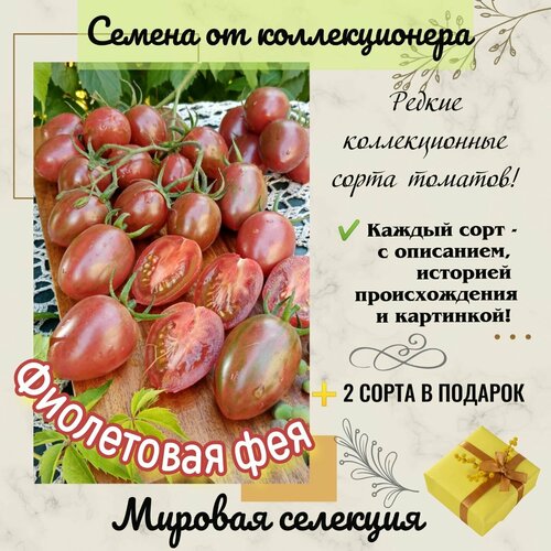 ������ ������ ����� ���������� ���, ���� �� �����, ������� ��������� ������� ����