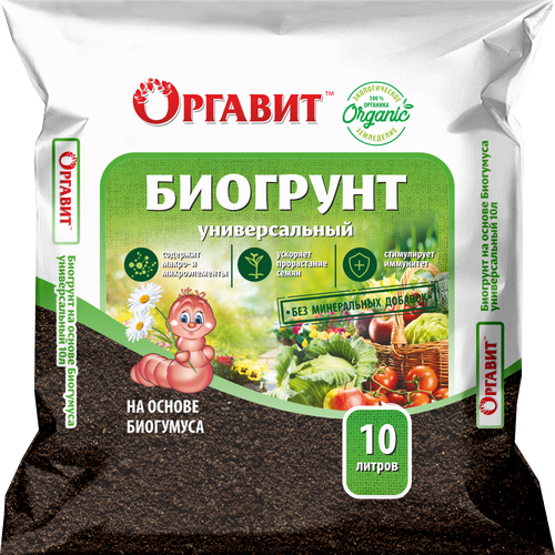 ������ ������ ����� �� ������ ��������� ������� �������������, 10 � ����