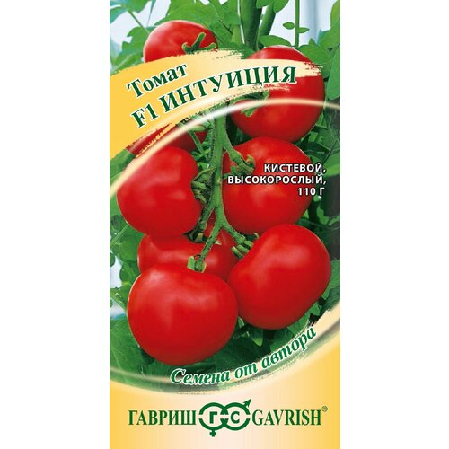 ������ ������ ������ ����� �������� F1, 12��, ������, ������ �� ������ ����