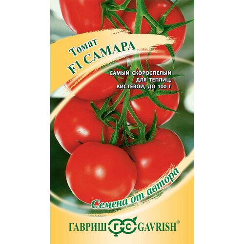 ������ ������ ������ ����� ������ F1, 12��, ������, ������ �� ������ ����