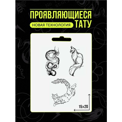 ������ ������ ���� ���������� �������������� �������� ����