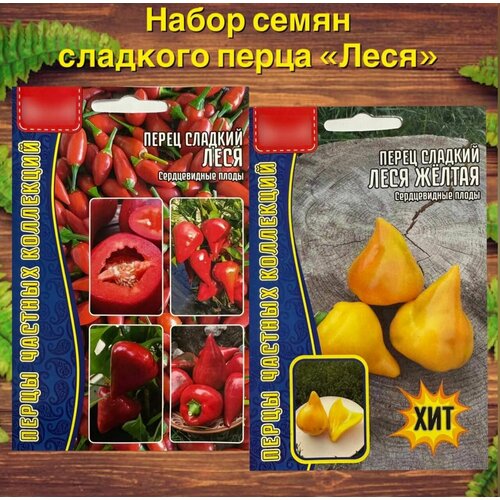 ������ ������ ����� ����� ������ ������� ������� � ������ ����� ���� 2 �������� ����