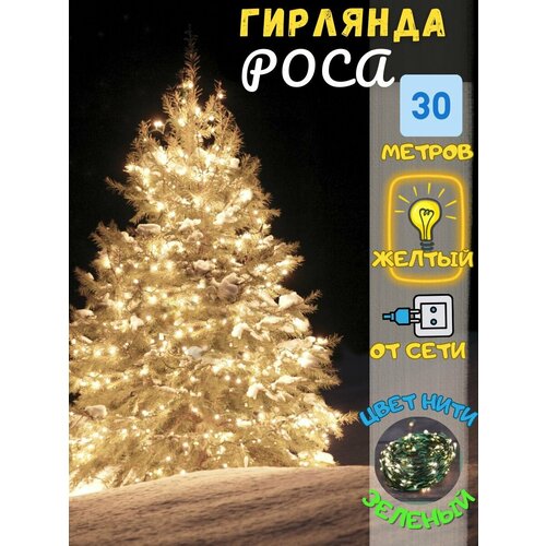 ������ ������ �������� ���� ����