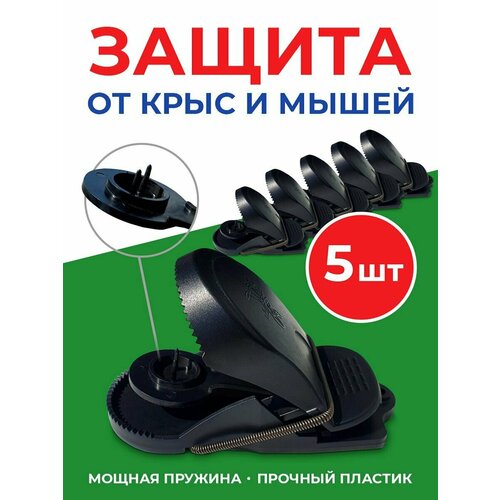 ������ ������ ��������� ��� ����� ����������� 5 �� ����