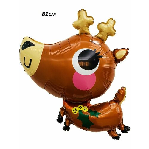 ������ ������ ��������� ���� �� ����� ��� 2025 ����� ����