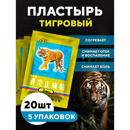 ������ ������ �������� �������� 20 �� ����