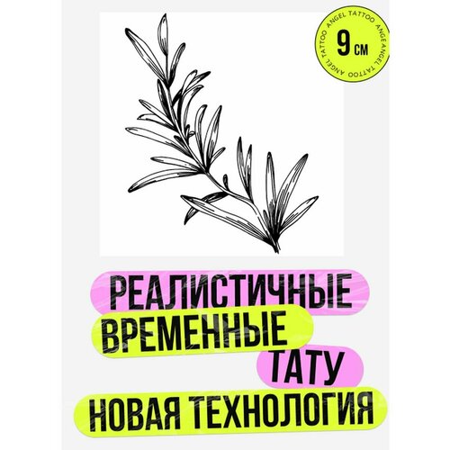 ������ ������ ���� ���������� �������������� �������� ����