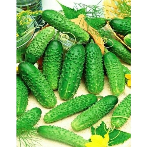 ������ ������ ������������� ������ ������ ���������� F1 ����