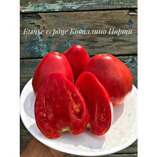 ������ ������ ������������� ������ ������ ����� ������ ��������� ����� ����