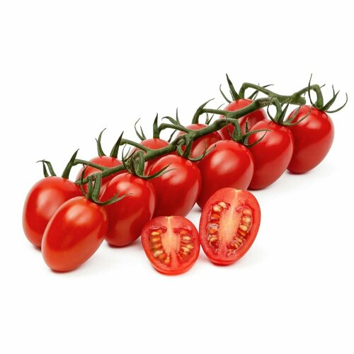 ������ ������ ������������� ������ ����� ��������� ������� ����