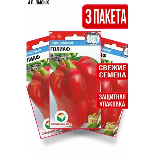 ������ ������ ������ ����� ������ 15�� ����