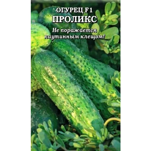 ������ ������ ������������� ������ ������ ������� F1 ����