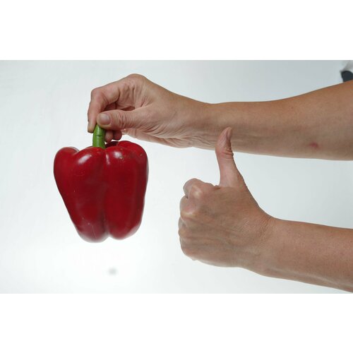 ������ ������ ������������� ������ ����� �������� ���� F1 ����